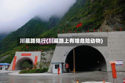 川藏路限行(川藏路上有啥危险动物)-第2张图片