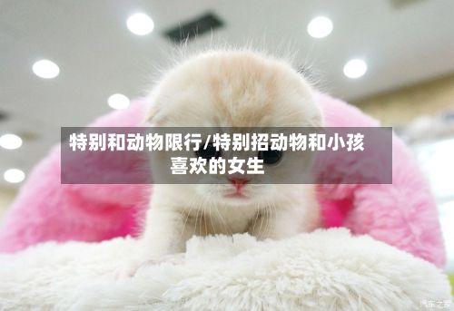 特别和动物限行/特别招动物和小孩喜欢的女生