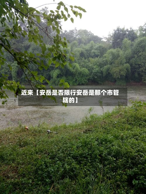 近来【安岳是否限行安岳是那个市管辖的】-第3张图片