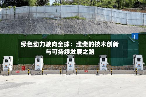 绿色动力驶向全球:潍柴的技术创新与可持续发展之路-第2张图片