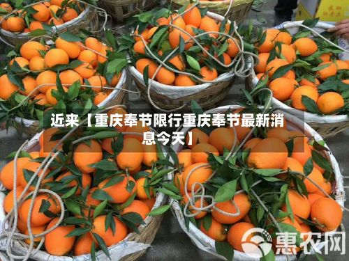 近来【重庆奉节限行重庆奉节最新消息今天】