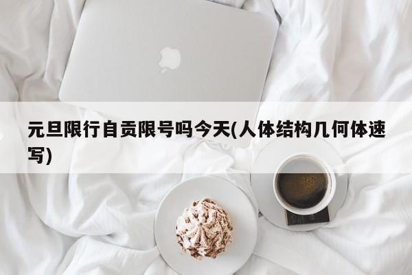 元旦限行自贡限号吗今天(人体结构几何体速写)