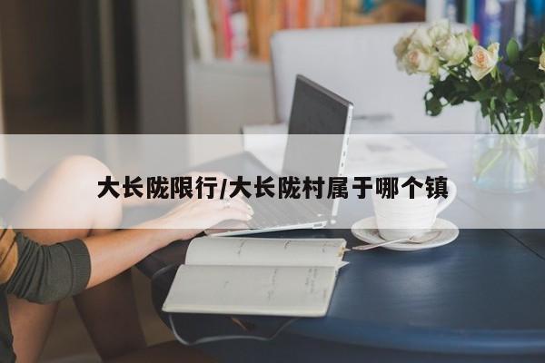 大长陇限行/大长陇村属于哪个镇
