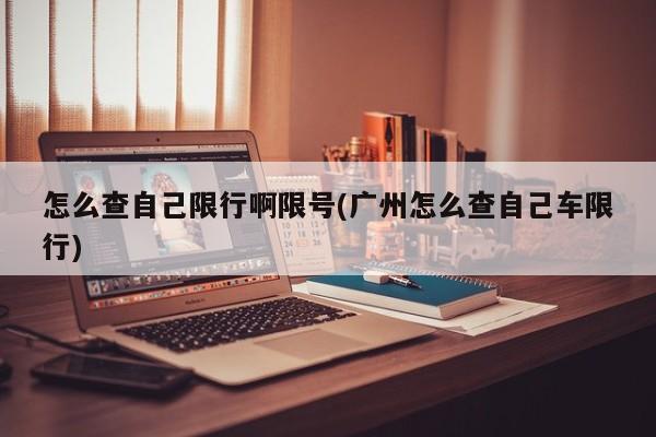怎么查自己限行啊限号(广州怎么查自己车限行)