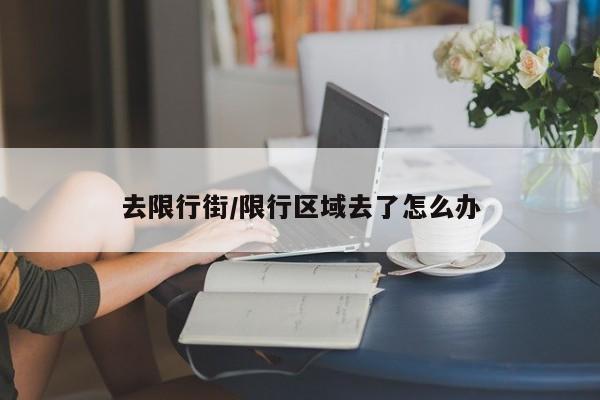 去限行街/限行区域去了怎么办