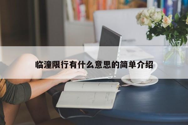 临潼限行有什么意思的简单介绍