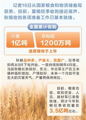 时报数说 | 夏粮旺季收购基本结束 全国累计收购小麦1亿吨