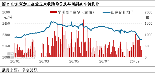 “玉”见未来：华北新季玉米价格持续下跌，东北产区如何应对？