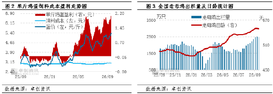 “蛋”说无妨：蛋价高台跳水，本轮低点究竟在哪？