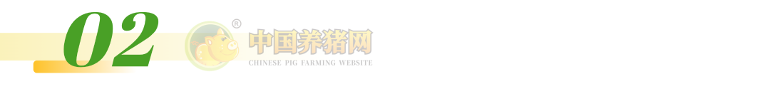 注意！猪肉股逆势翻红！猪价跌至低位，亏损加剧！预计国庆猪价将会这样走！