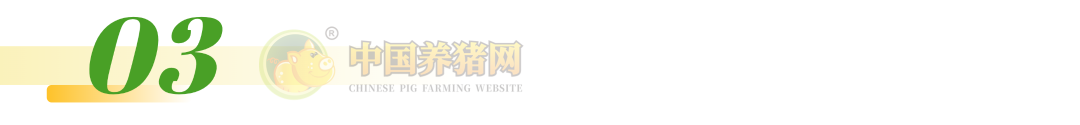 注意！猪肉股逆势翻红！猪价跌至低位，亏损加剧！预计国庆猪价将会这样走！