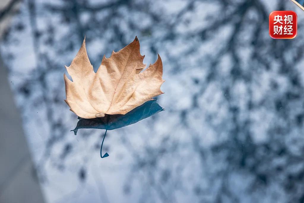 暴雨、大暴雨！“最强时段”	，紧急提醒→
